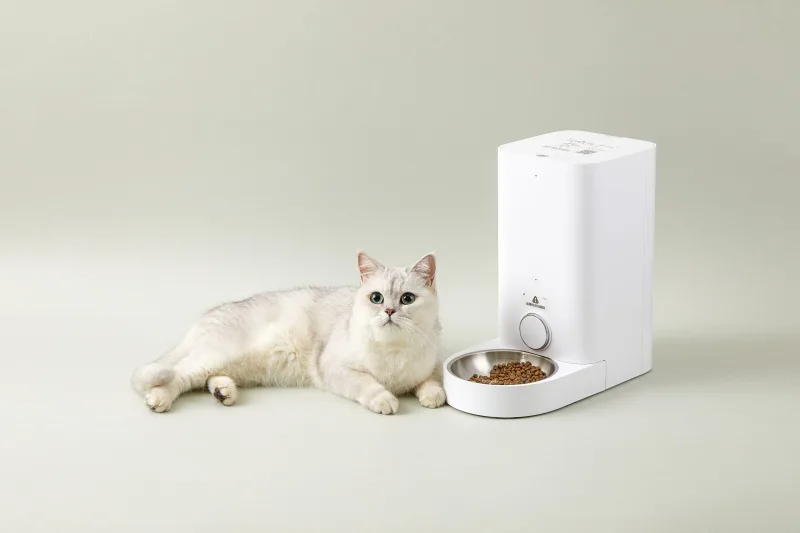 Cat resting beside PETKIT Fresh Element Solo automatic feeder