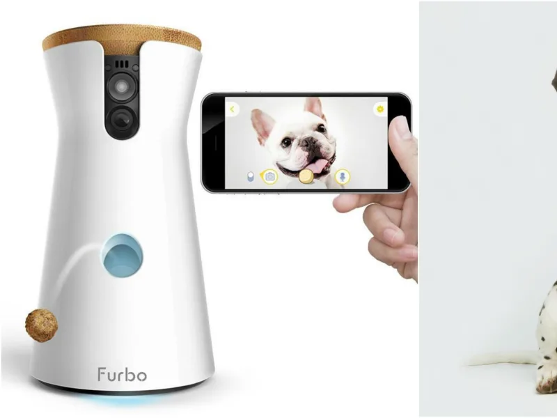 Furbo 360 Dog Camera app interface on smartphone live view