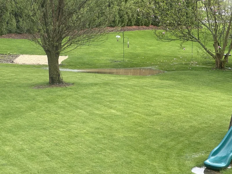 Mammotion YUKA 2000 mowing wet grass in backyard