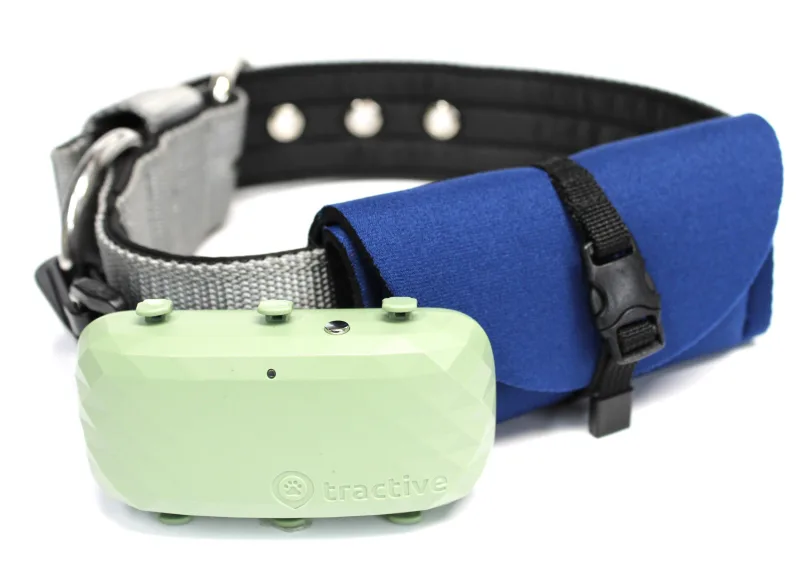 Tractive Smart tracker mounted on a dog collar close-up