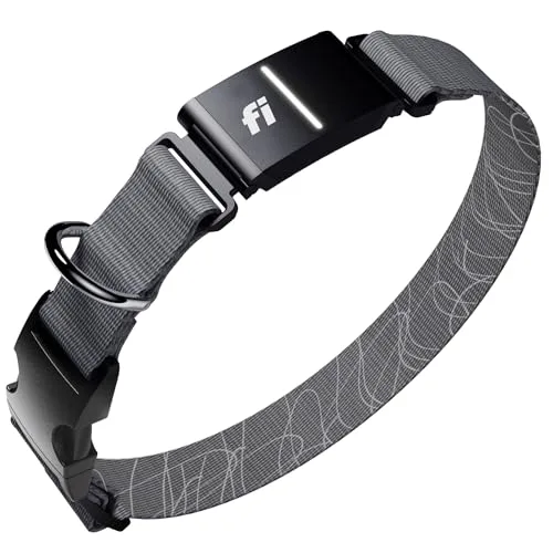 Fi Series 3 smart dog collar close-up showing rugged tracker module