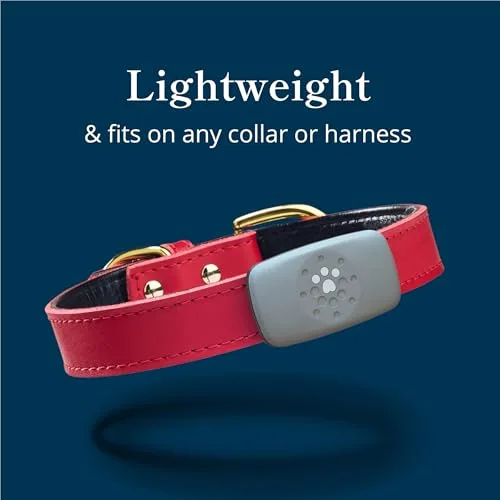 Petivity Smart GPS tracker clipped onto a dog collar harness