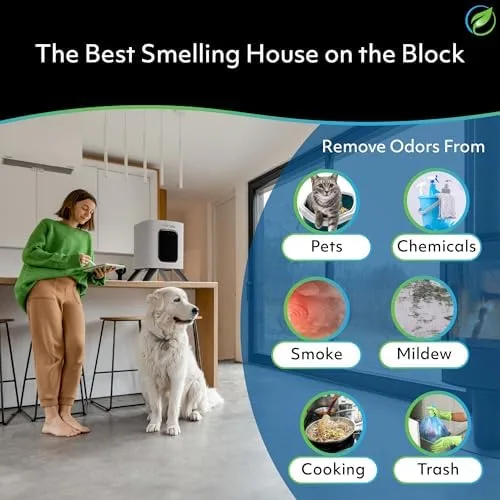 Air Oasis iAdaptAir 2.0 purifier in living room tackling pet odors