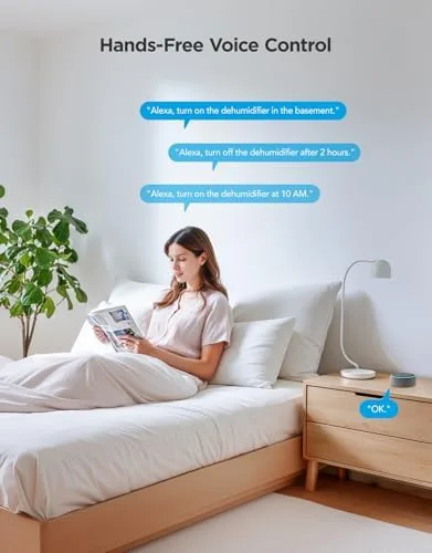 GoveeLife H7151 voice assistant control concept for dehumidifier commands