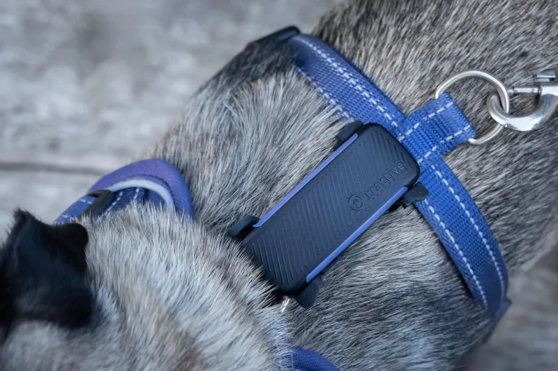 Tractive Smart GPS tracker attached to a dog harness outdoors