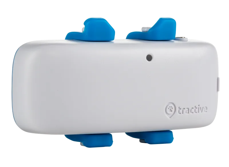 Tractive Smart GPS pet tracker with blue collar mounts attached