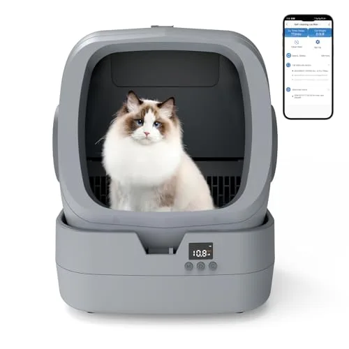 UPFAS Little Box 500C front view with cat inside and app UI