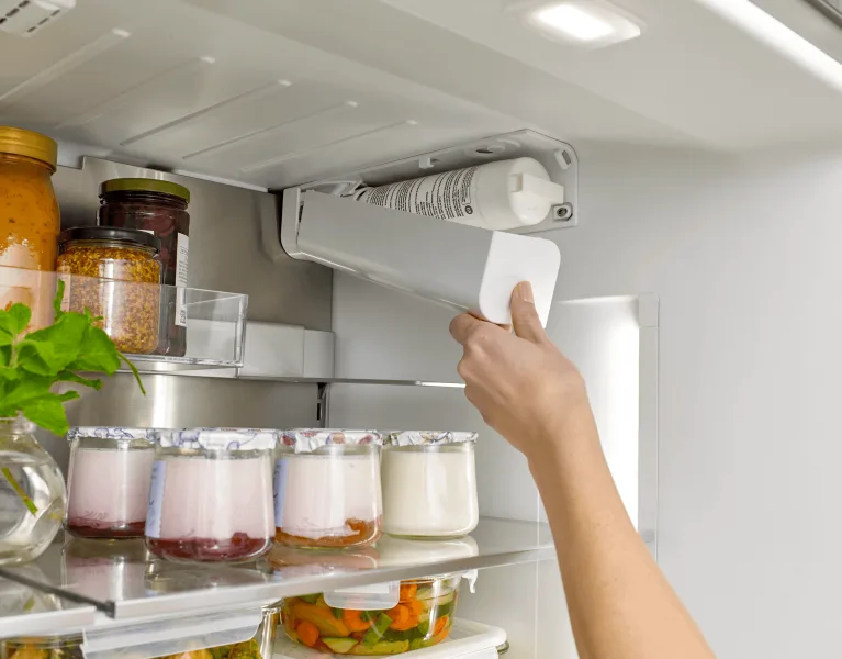 Bosch B36CL80ENS interior storage with person loading container