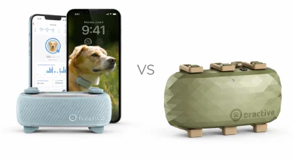 Tractive Smart vs Tractive XL: Best GPS Tracker for Your Dog?