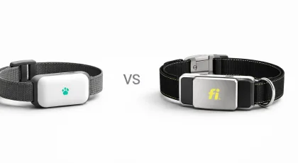 Petivity Smart GPS vs Fi Series 3: Best Dog GPS Tracker?